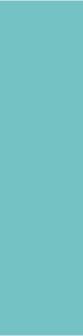 Colour Overlay
